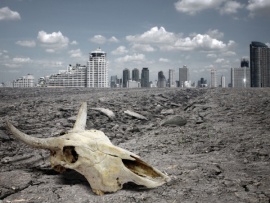 Шестое массовое вымирание