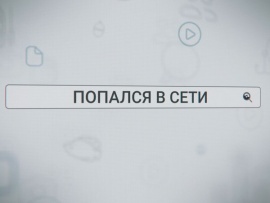 Попался в сети