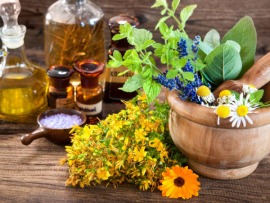 Фитоаптека с Виталием Декабрёвым