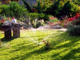 Зеленая передача