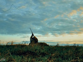 Охота по перу