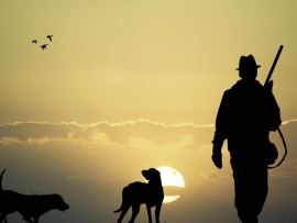 Мир стрелкового спорта