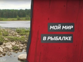 Мой мир в рыбалке