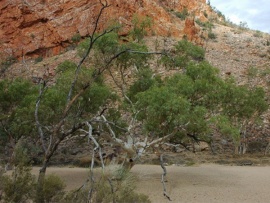 Райдеры в австралийской глуши