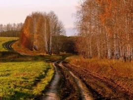 Русская дорога