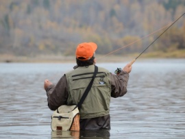 Пути-дороги