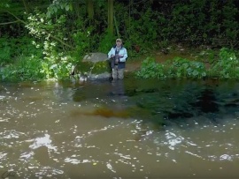 Шаг в тишину