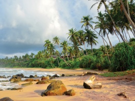 Истории из Шри-Ланки