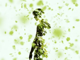 Николай Батюк. Сердце комдива