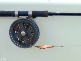 Соло со спиннингом