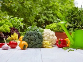 Огород от-кутюр