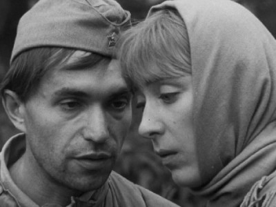 Война под крышами