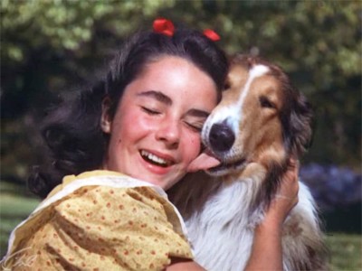 Храбрость Лэсси