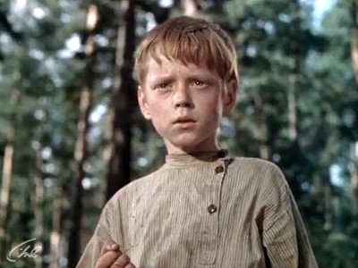 Тайна зеленого бора