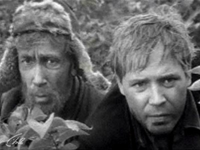 Волчья стая