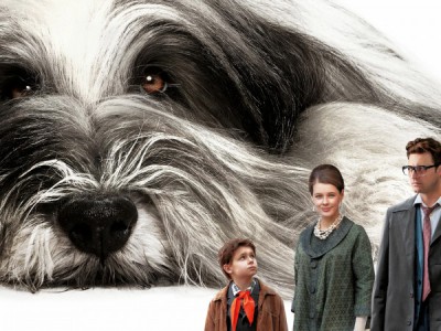 Каждый мечтает о собаке