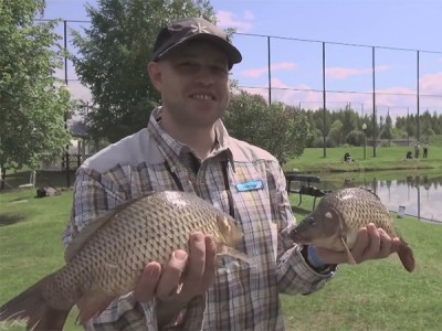 Пофестивалим