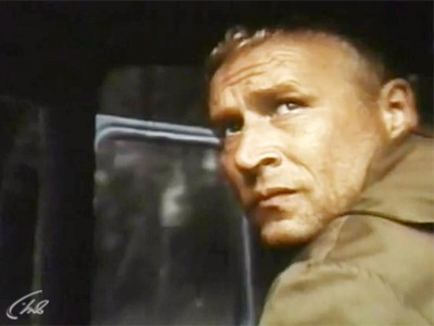 Черный аист