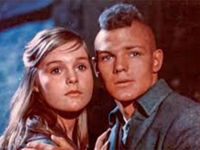 Свет в лесу