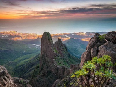 Дикая природа Канарских островов