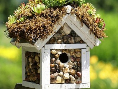 Дачные хитрости