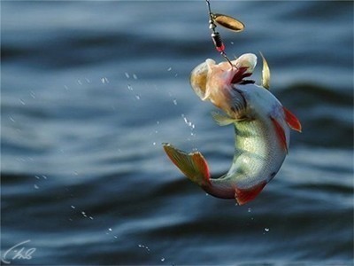 Народный проект