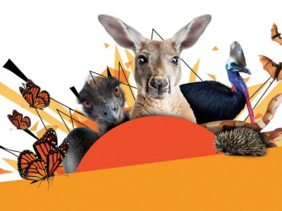 Удивительные животные Австралии