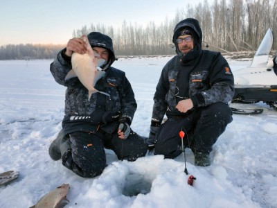 Подводный мир