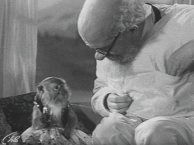 Доктор Айболит