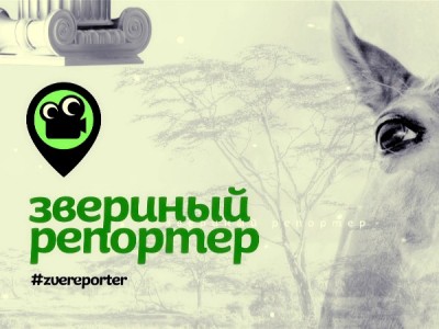 Звериный репортёр