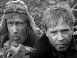 Волчья стая