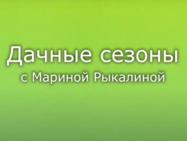 Дачные сезоны с Мариной Рыкалиной