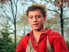 Золотой гусь