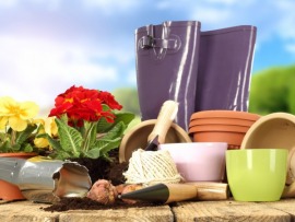 Сад и огород