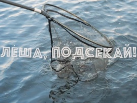 Лёша, подсекай!