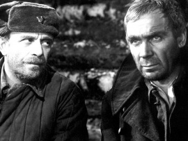 Проверка на дорогах