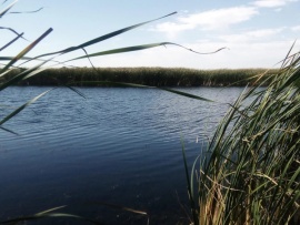 Универсальный рыболов