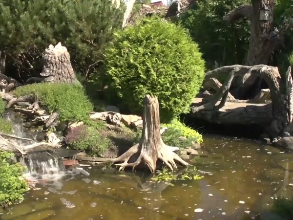 Прогулка по саду (2)