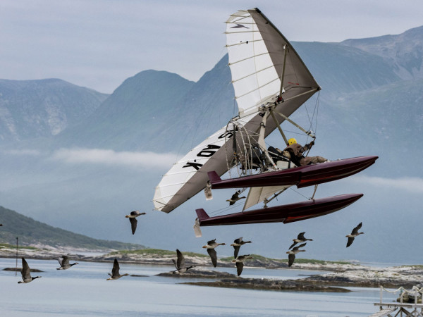Расправь крылья (2)