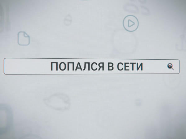 Попался в сети