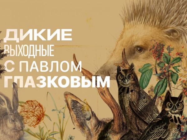 Дикие выходные с Павлом Глазковым (2)