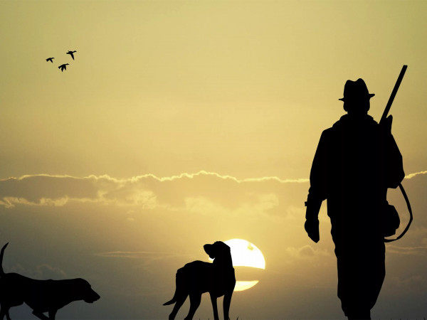 Мир стрелкового спорта