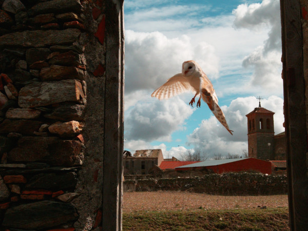 Быстрый против медленного