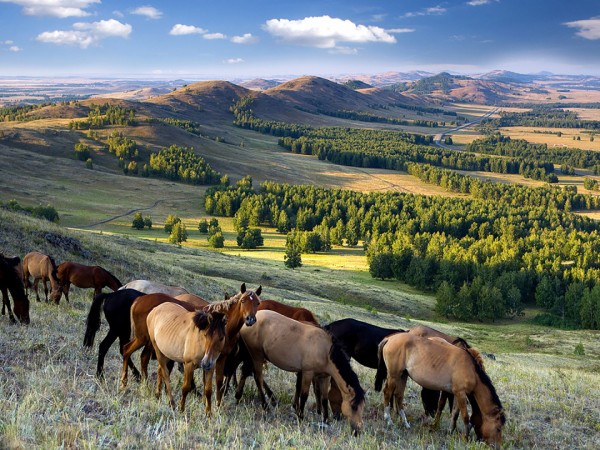 Моя планета — Башкортостан