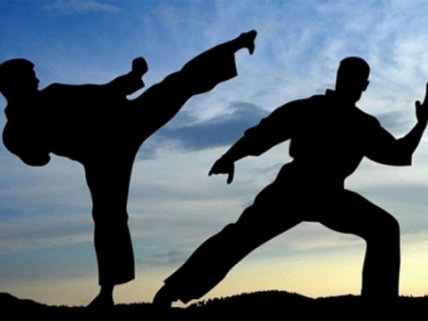 Карате всестилевое