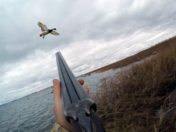 Охота от первого лица (2)