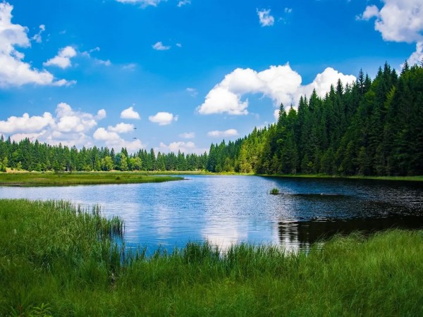 На природе вкуснее (2)