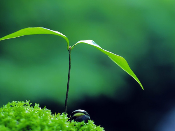 Заповедные миры