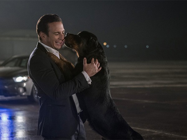 Псы под прикрытием (2)