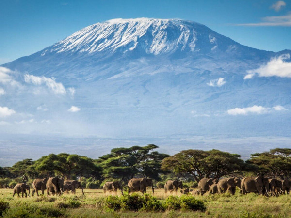 Африка с высоты птичьего полёта